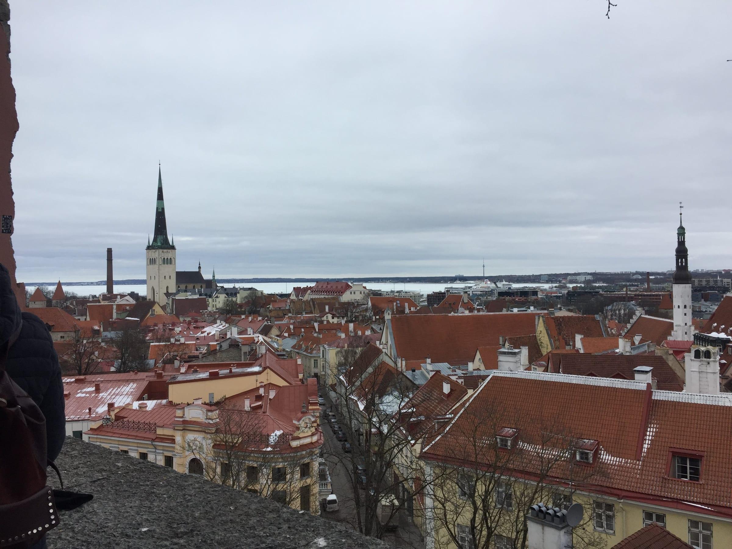 Tallinn Old Town panorama with St Olaf's Church and red rooftops