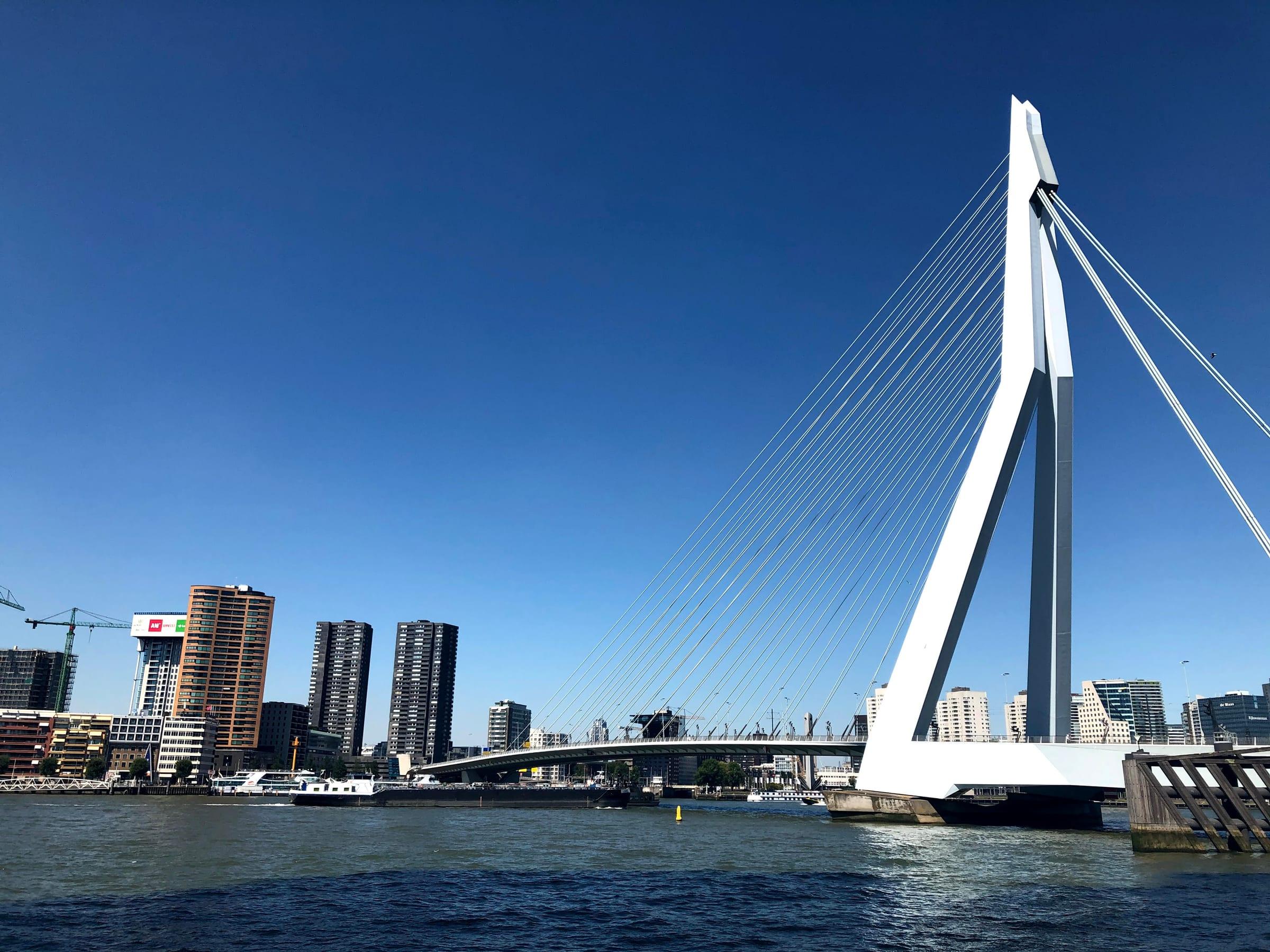 Erasmus Bridge