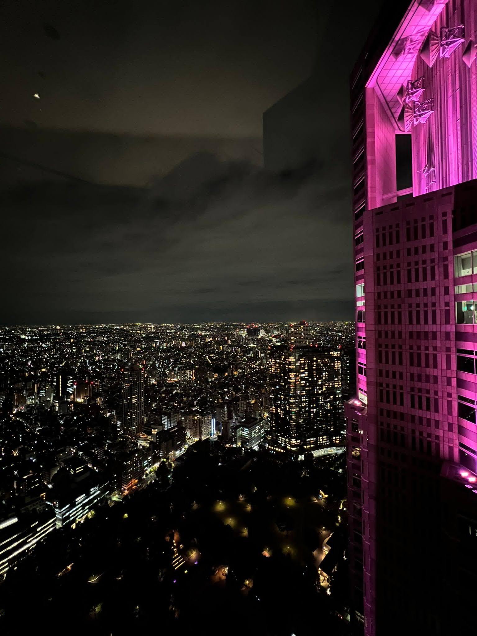 Tokyo night cityscape pink tower